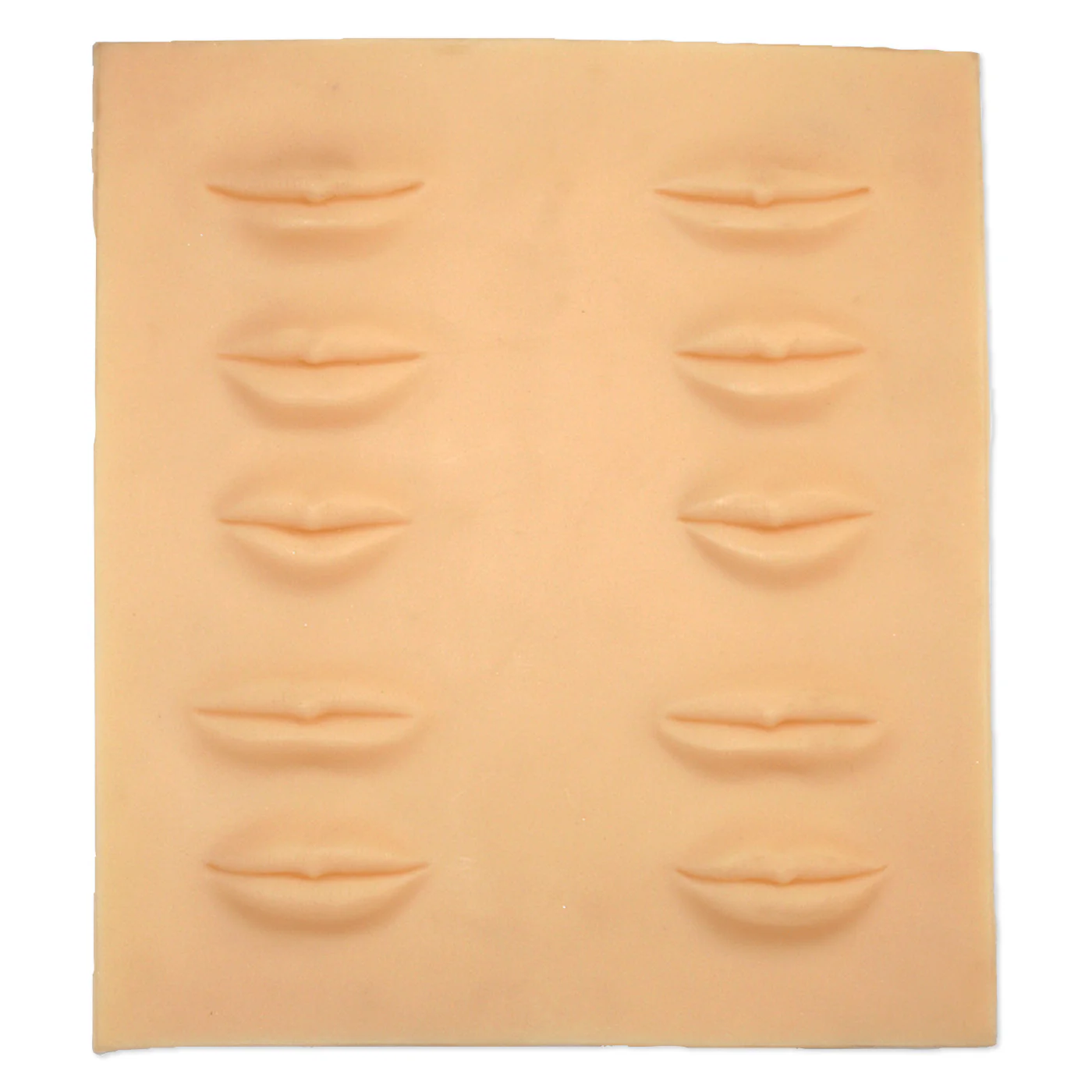 Celebrity Lip Training Palette #LIP-4
