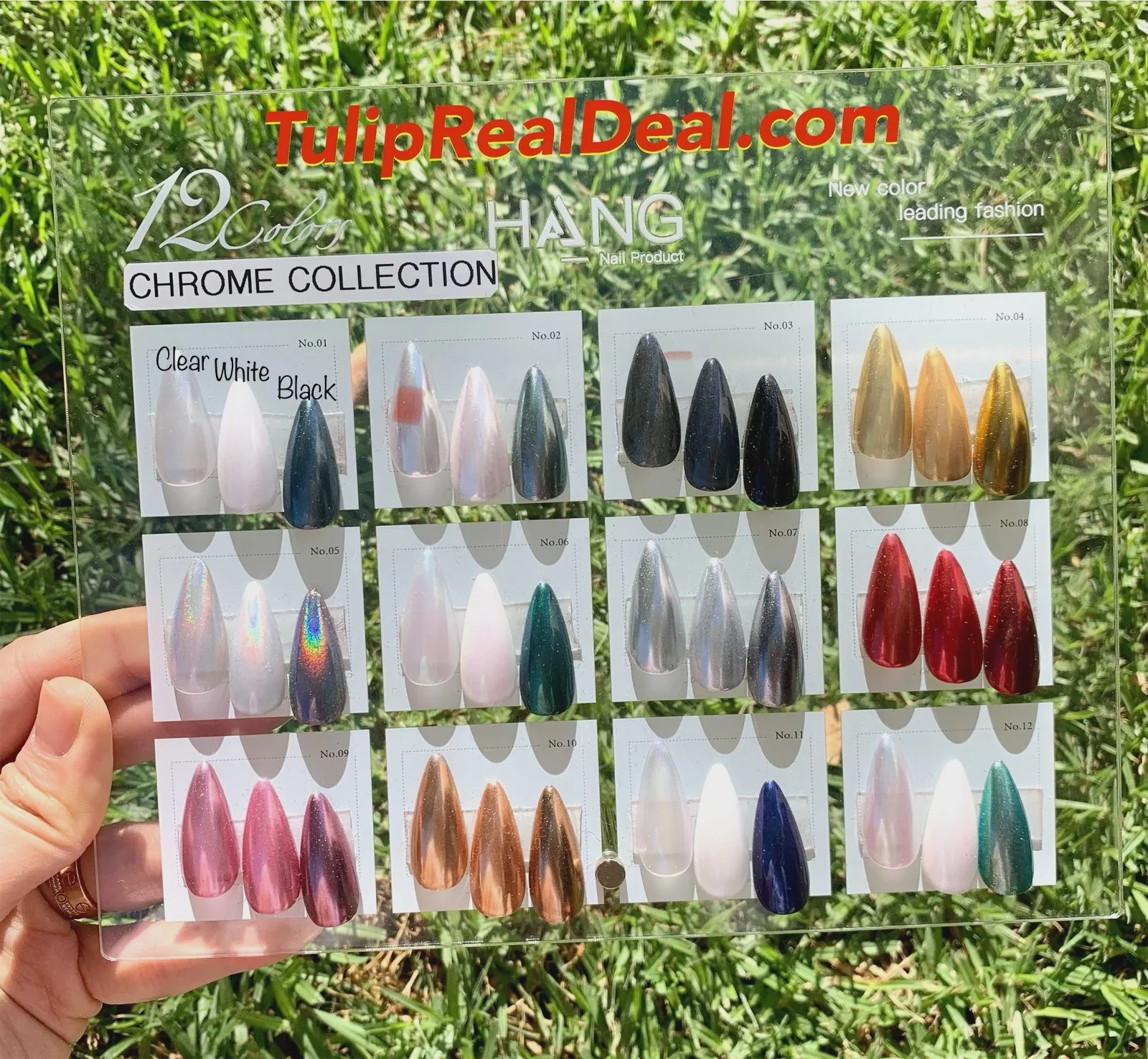 Hang Chrome 12 Colors Sample Display