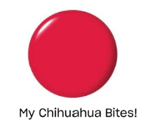 OPI GelColor Inteli-Gel My Chihuahua Bites! 0.5 oz #GCM21 - Image 2